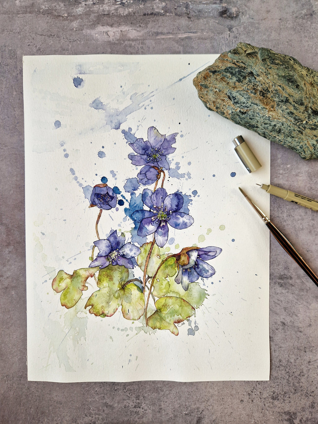 Blue Anemones hiding in the forest