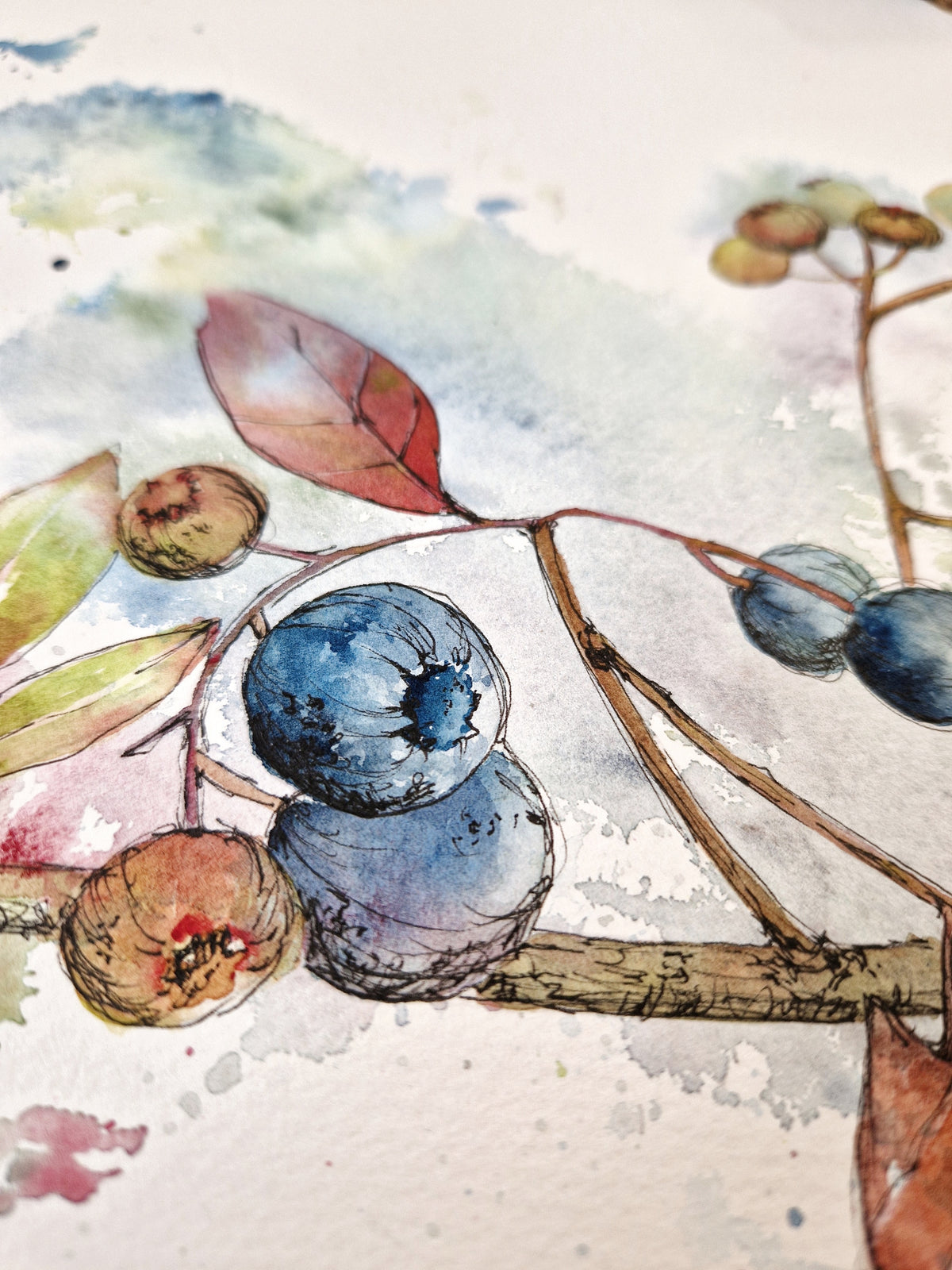 Blueberry Magic