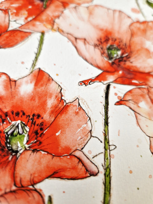 Dancing Poppies