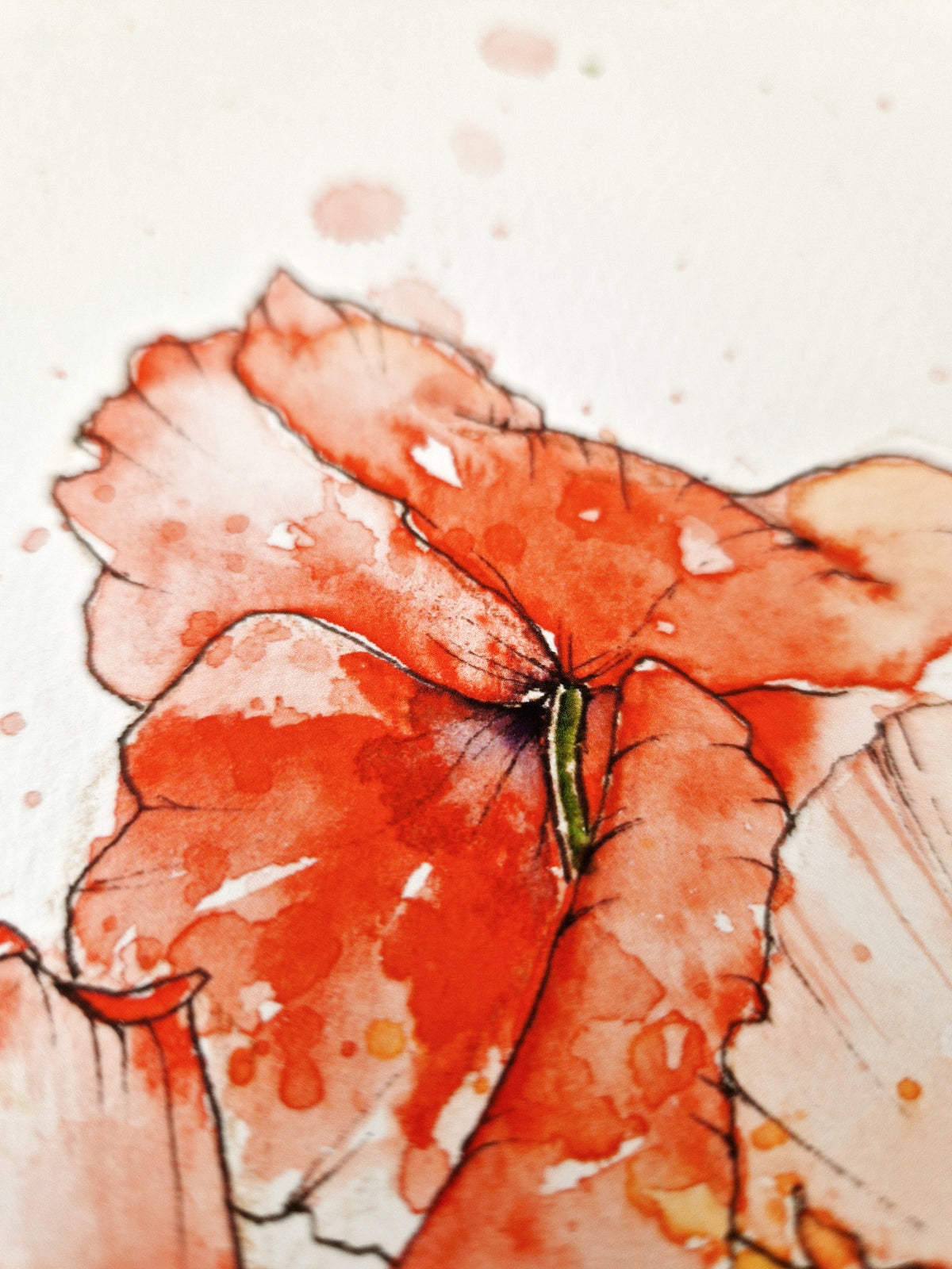 Dancing Poppies