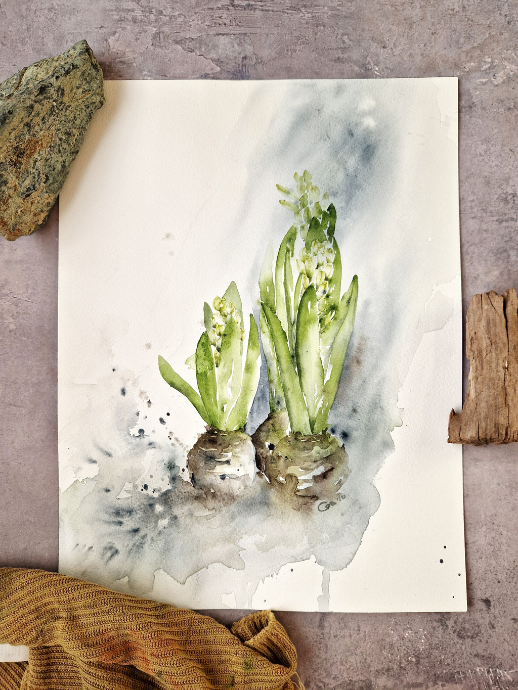 Hyacinths in Spring
