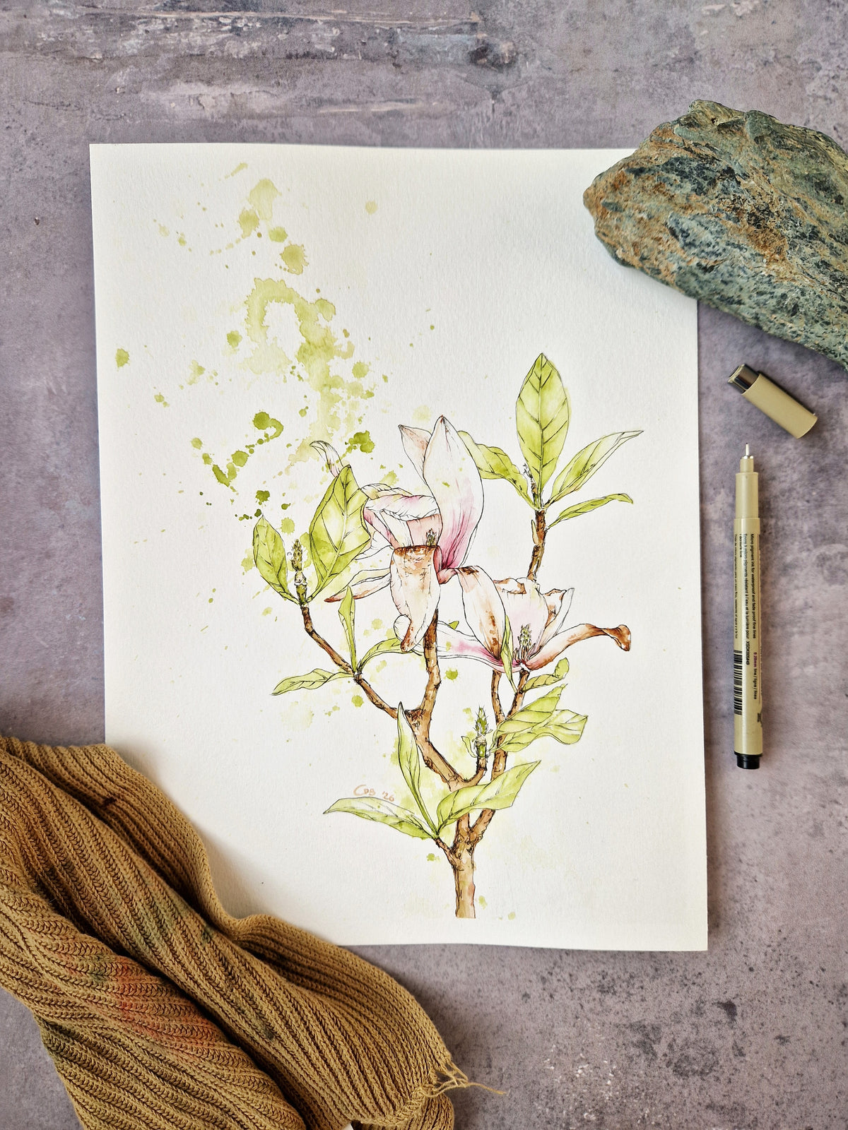 Magnolia in Transition