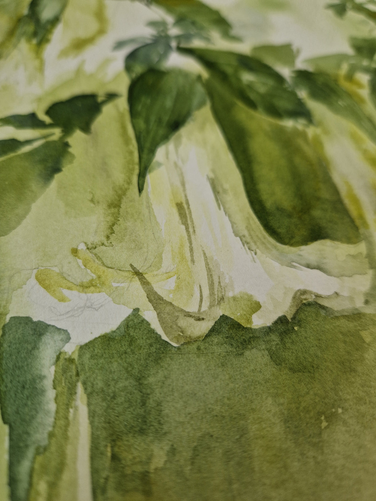 Whispers of Green