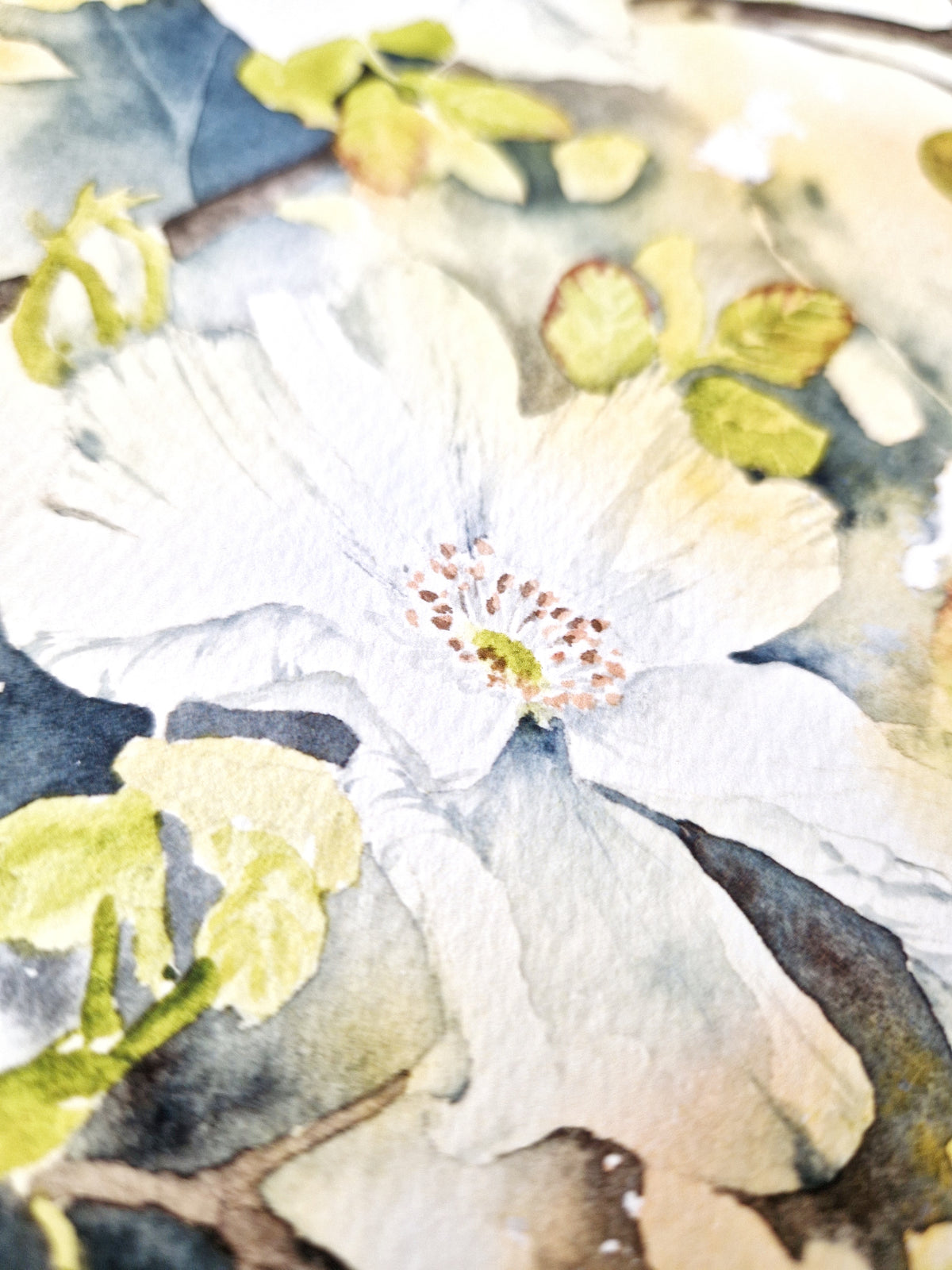 Wild Autumn Roses